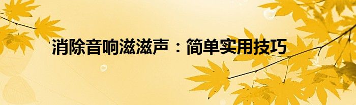 消除音响滋滋声：简单实用技巧