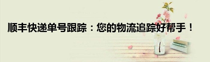 顺丰快递单号跟踪：您的物流追踪好帮手！