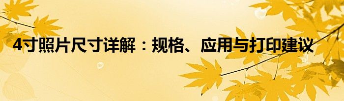 4寸照片尺寸详解：规格、应用与打印建议