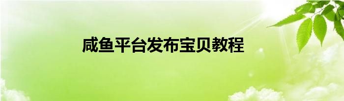 咸鱼平台发布宝贝教程