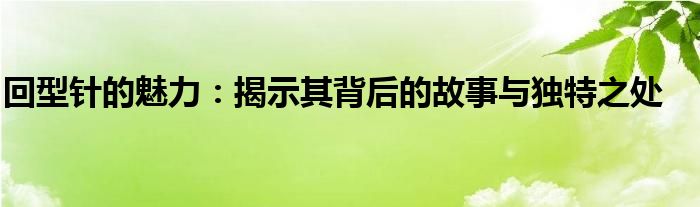 回型针的魅力：揭示其背后的故事与独特之处