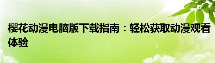 樱花动漫电脑版下载指南：轻松获取动漫观看体验