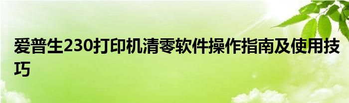 爱普生230打印机清零软件操作指南及使用技巧