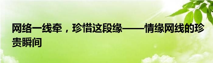 网络一线牵，珍惜这段缘——情缘网线的珍贵瞬间