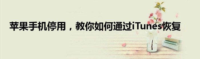 苹果手机停用，教你如何通过iTunes恢复