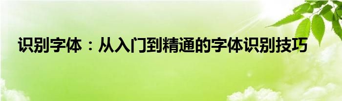 识别字体：从入门到精通的字体识别技巧