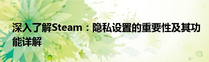 深入了解Steam：隐私设置的重要性及其功能详解