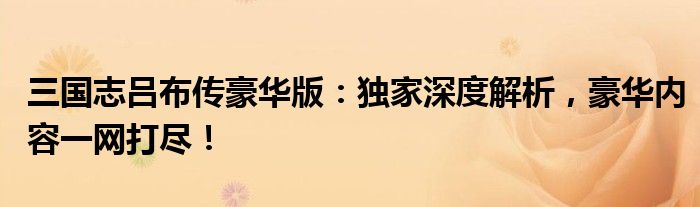 三国志吕布传豪华版：独家深度解析，豪华内容一网打尽！