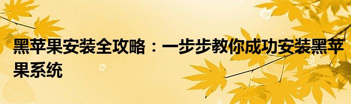 黑苹果安装全攻略：一步步教你成功安装黑苹果系统