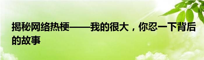 揭秘网络热梗——我的很大，你忍一下背后的故事