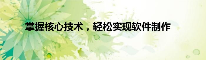 掌握核心技术，轻松实现软件制作