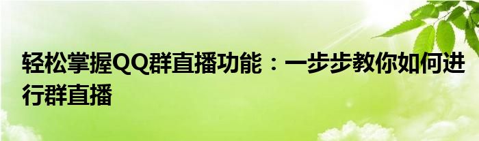 轻松掌握QQ群直播功能：一步步教你如何进行群直播
