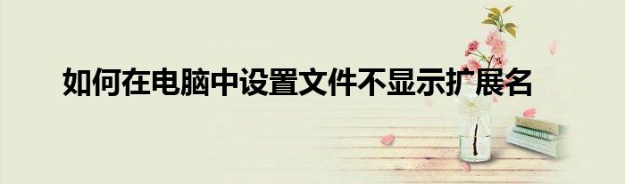 如何在电脑中设置文件不显示扩展名