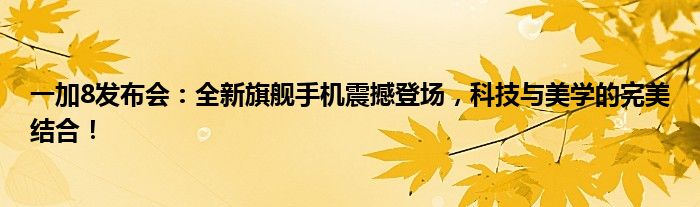 一加8发布会：全新旗舰手机震撼登场，科技与美学的完美结合！