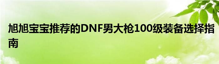 旭旭宝宝推荐的DNF男大枪100级装备选择指南