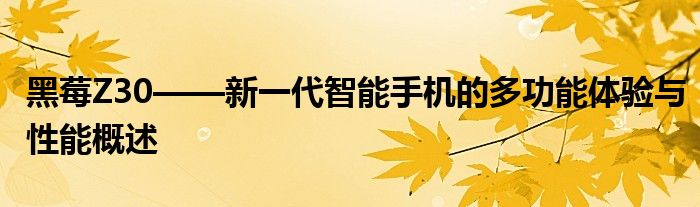 黑莓Z30——新一代智能手机的多功能体验与性能概述