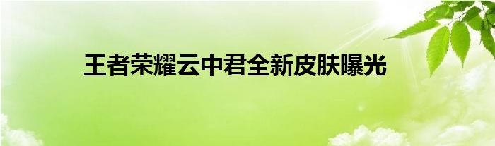 王者荣耀云中君全新皮肤曝光