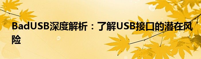 BadUSB深度解析：了解USB接口的潜在风险