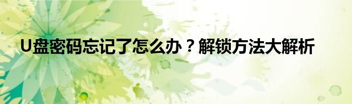 U盘密码忘记了怎么办？解锁方法大解析