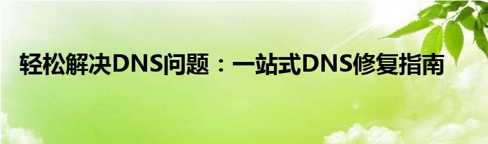 轻松解决DNS问题：一站式DNS修复指南