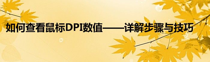 如何查看鼠标DPI数值——详解步骤与技巧