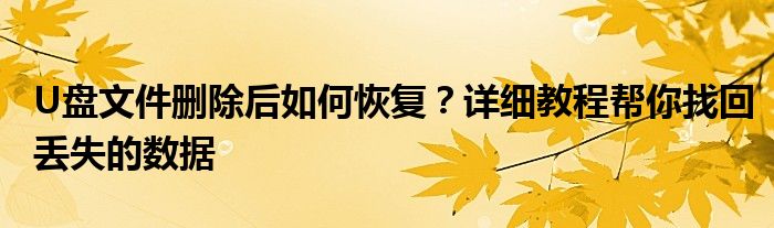 U盘文件删除后如何恢复？详细教程帮你找回丢失的数据