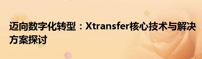 迈向数字化转型：Xtransfer核心技术与解决方案探讨
