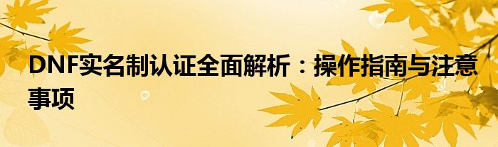DNF实名制认证全面解析：操作指南与注意事项