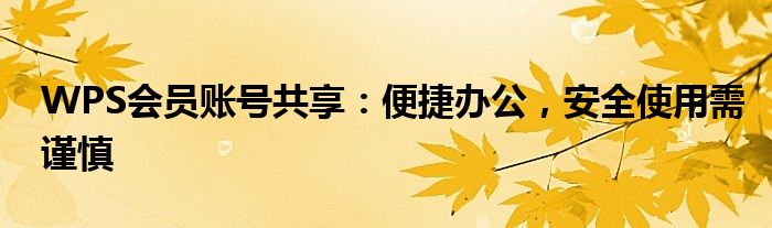 WPS会员账号共享：便捷办公，安全使用需谨慎