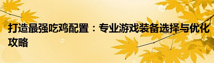 打造最强吃鸡配置：专业游戏装备选择与优化攻略