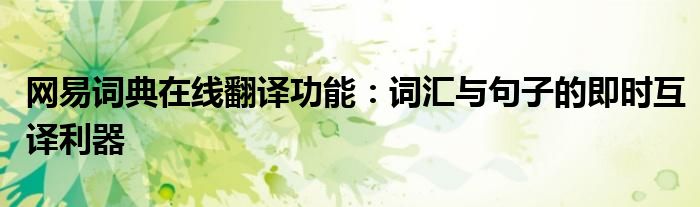 网易词典在线翻译功能：词汇与句子的即时互译利器