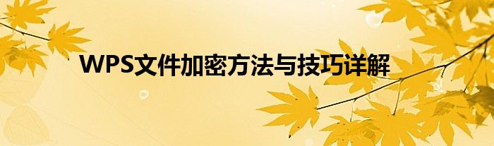WPS文件加密方法与技巧详解