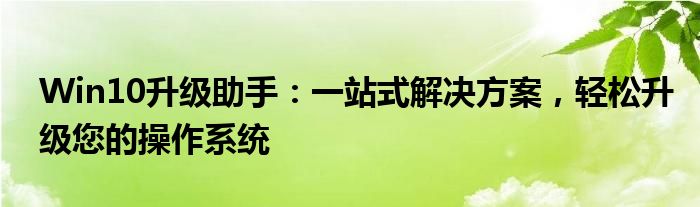 Win10升级助手：一站式解决方案，轻松升级您的操作系统