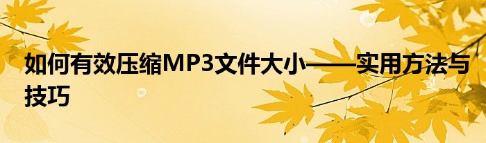 如何有效压缩MP3文件大小——实用方法与技巧