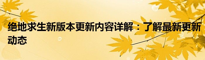 绝地求生新版本更新内容详解：了解最新更新动态