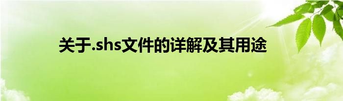 关于.shs文件的详解及其用途