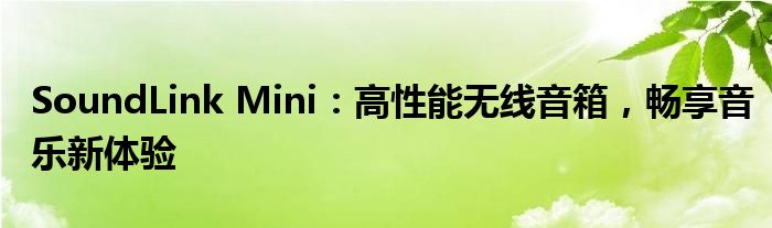 SoundLink Mini：高性能无线音箱，畅享音乐新体验