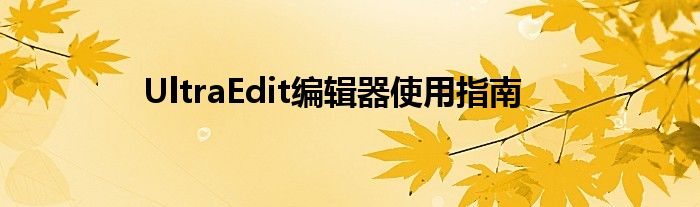 UltraEdit编辑器使用指南