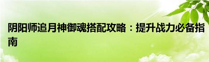 阴阳师追月神御魂搭配攻略：提升战力必备指南