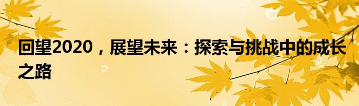 回望2020，展望未来：探索与挑战中的成长之路