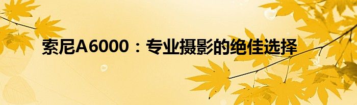 索尼A6000：专业摄影的绝佳选择