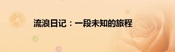 流浪日记：一段未知的旅程