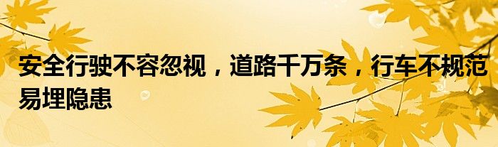 安全行驶不容忽视，道路千万条，行车不规范易埋隐患