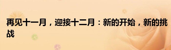 再见十一月，迎接十二月：新的开始，新的挑战