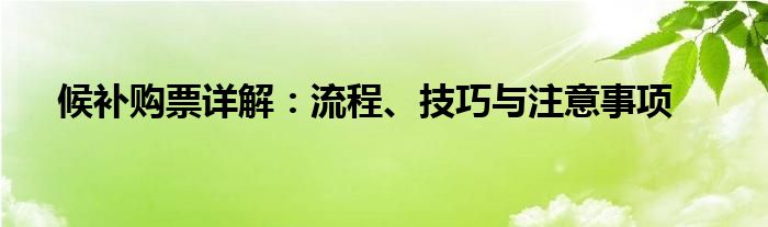 候补购票详解：流程、技巧与注意事项