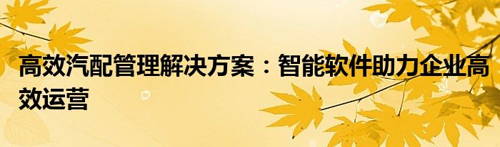 高效汽配管理解决方案：智能软件助力企业高效运营