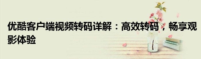 优酷客户端视频转码详解：高效转码，畅享观影体验