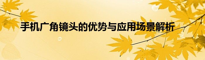 手机广角镜头的优势与应用场景解析