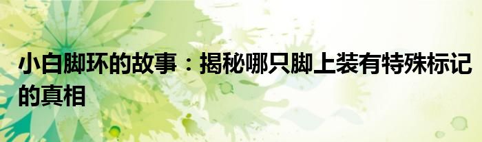 小白脚环的故事：揭秘哪只脚上装有特殊标记的真相