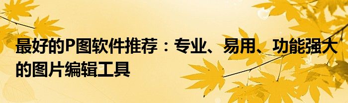 最好的P图软件推荐：专业、易用、功能强大的图片编辑工具